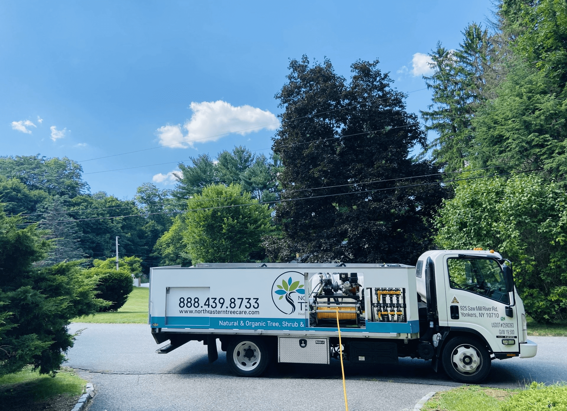 tree care in yonkers ny            |    https://northeasterntreecare.com/wp-content/uploads/IMG_0004-bbe20515-1920w.png