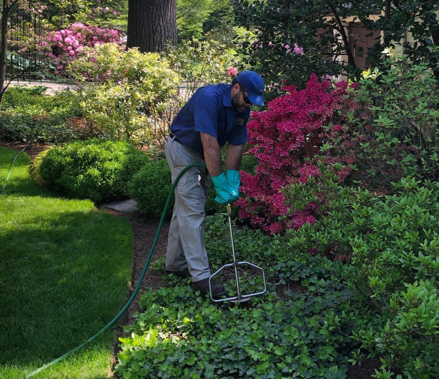 Tree and Shrub Lawn Fertilization