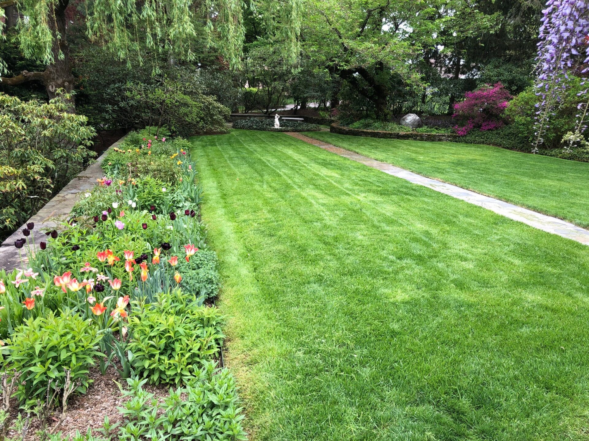 A healthy lawn due to our organic lawn care services