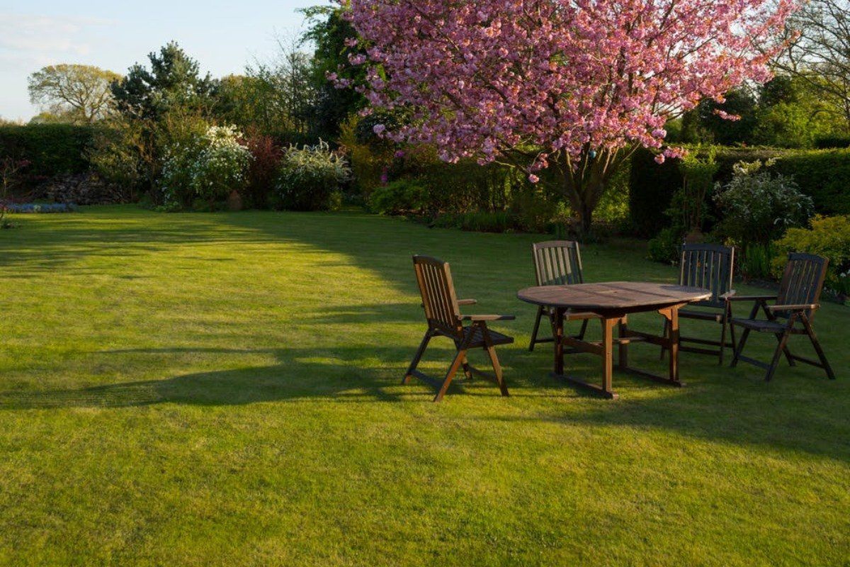 Professional Lawn Care Services