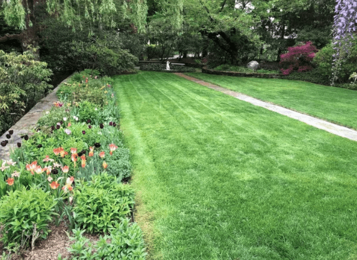 does organic lawn care work