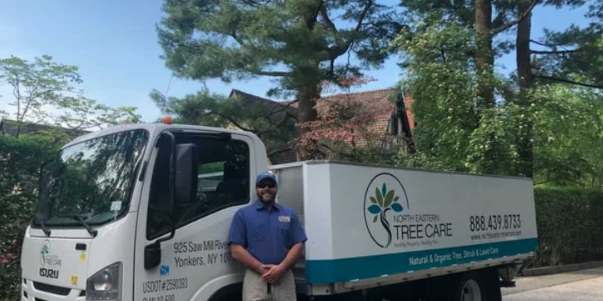 Tree Inspection in Spring: What It Covers & Why You Need It