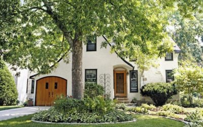 5 Ways To Keep Your Trees Looking Their Best