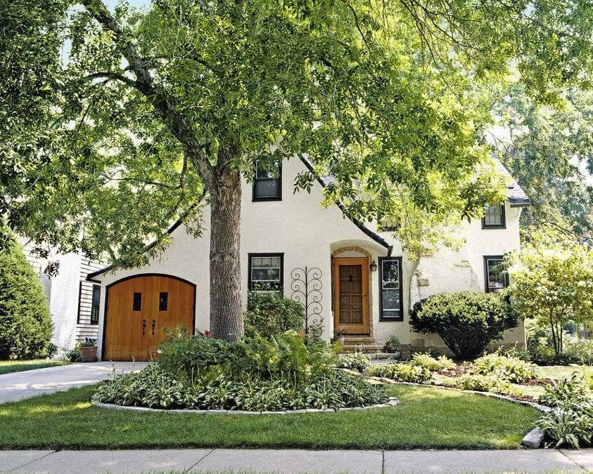 5 Ways To Keep Your Trees Looking Their Best