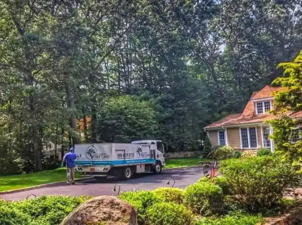 North Eastern Tree, Shrub, and Lawn Care Truck and great lawn, trees, and shrubs they maintain.